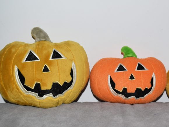 Pumpkin ITH: A Designer's Review for Boutique Apparel